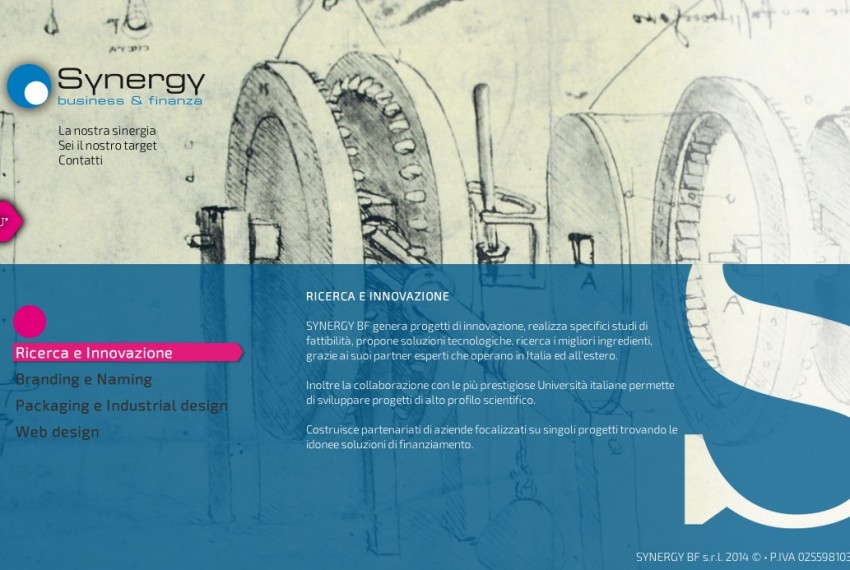 Radici Design - Synergy BF - Sito web 2014